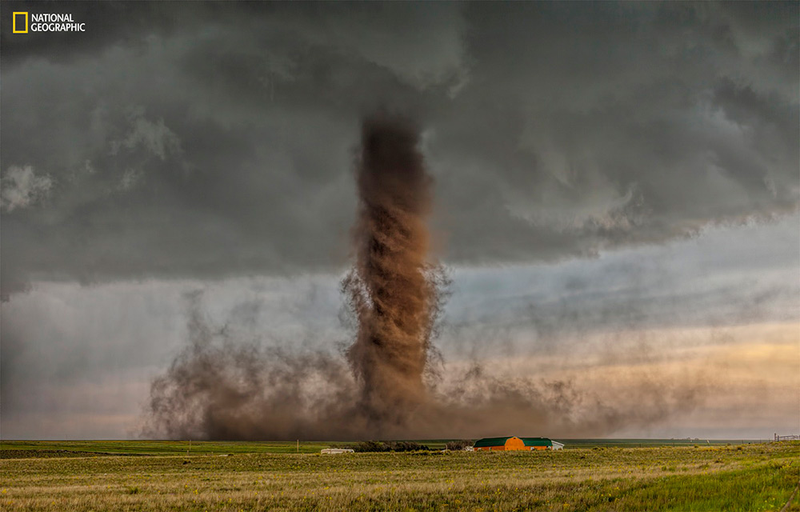 Illustration for article titled The Coolest Images From National Geographic's 2015 Photo Contest